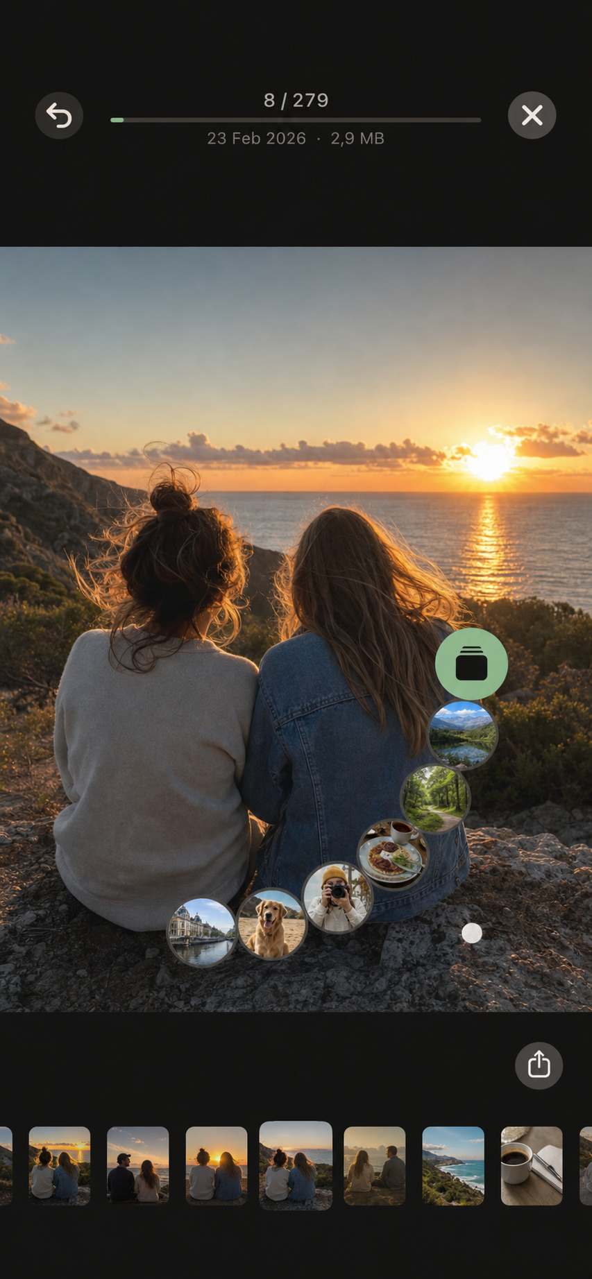 Swoof photo review with the curved pinned-album target menu open